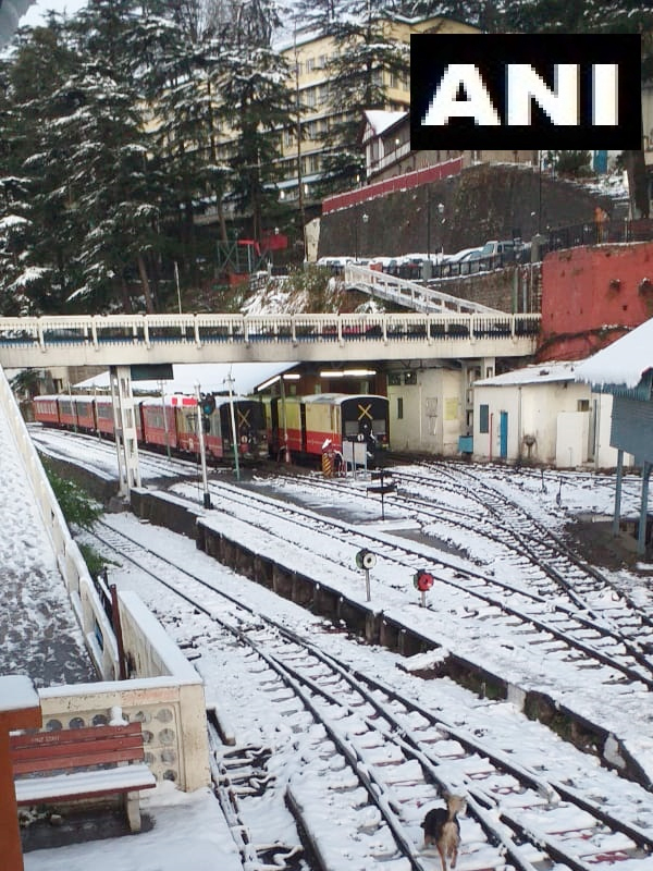 PICS: हिमाचल में बिछी बर्फ की चादरें, तस्वीरों में देखें खूबसूरत नजारा