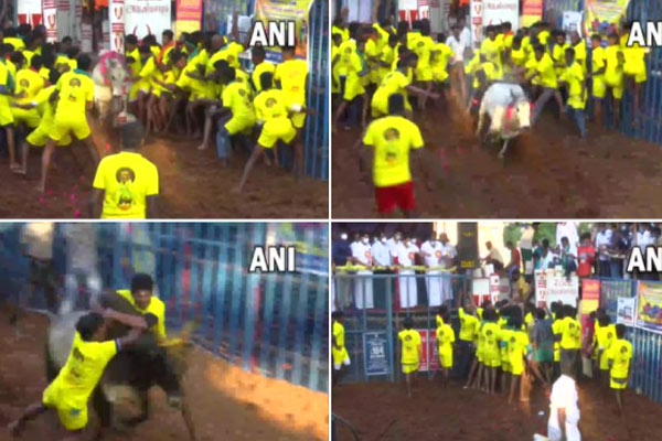 तस्वीरों में देखें- कहीं पोंगल, कहीं खिचड़ी तो कहीं है मकर संक्रांति