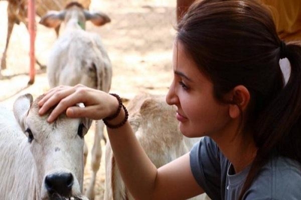 अनुष्का पशुओं के प्रति समर्पित