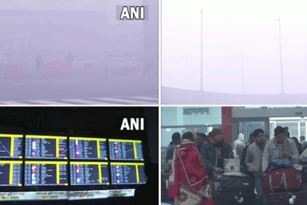 कोहरे का कर्फ्यू, ठंड से कंपकपी कोहरे का कर्फ्यू, ठंड से कंपकपी