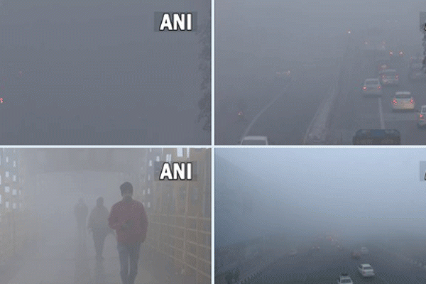 कोहरे का कर्फ्यू, ठंड से कंपकपी कोहरे का कर्फ्यू, ठंड से कंपकपी