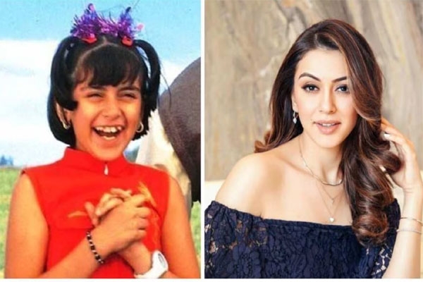 Hansika Motwani Birthday: हंसिका पर लग चुके हैं ये आरोप