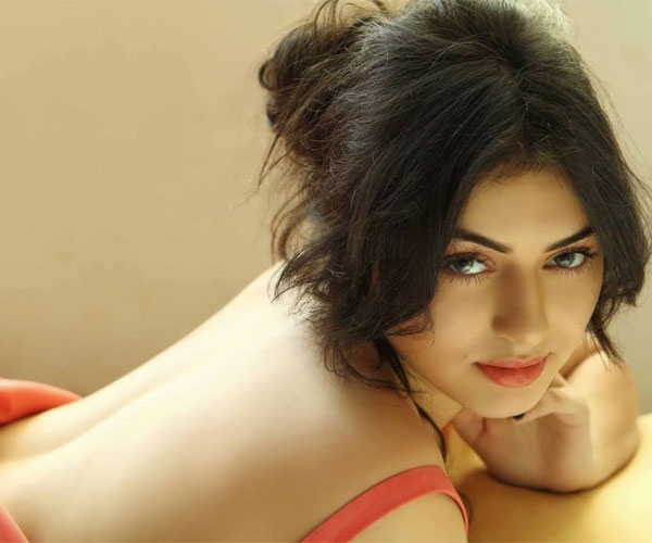 Hansika Motwani Birthday: हंसिका पर लग चुके हैं ये आरोप Hansika Motwani Birthday: हंसिका पर लग चुके हैं ये आरोप