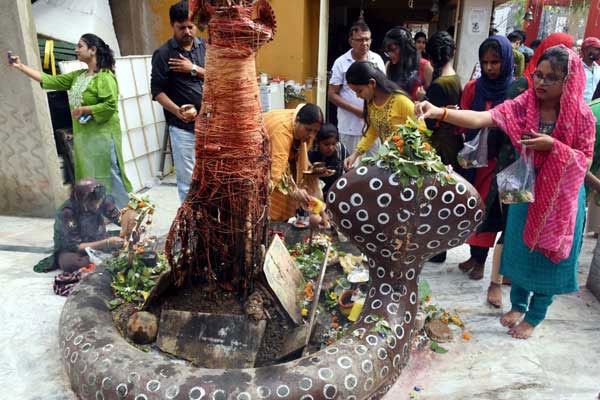 देशभर में नागपंचमी की धूम देशभर में नागपंचमी की धूम