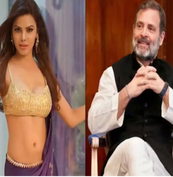 राहुल और शर्लिन करेंगे शादी? राहुल और शर्लिन करेंगे शादी?