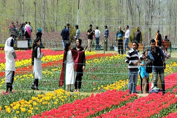 खुल गया ट्यूलिप गार्डन, खिली हुई धूप ने किया मेहमानों का स्वागत