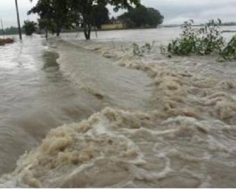 मध्य प्रदेश: कई हिस्सों में बाढ़ के हालात, परिवार ने पेड़ पर गुजारी रात