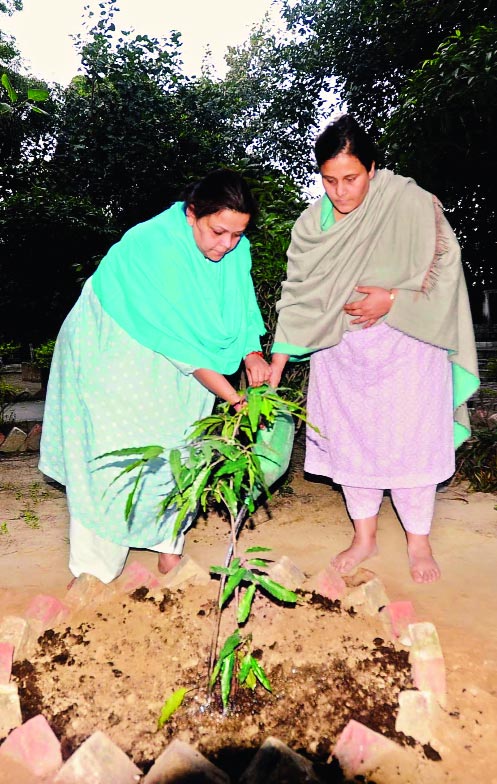 पिता की स्मृति में पौध रोपण करतीं पुत्रियां प्रियंका सरकार व शिवांका रॉय चौधरी